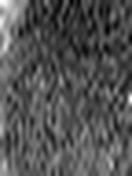 1567078498_1 @ 3.4487 µm