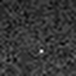 1577504565_1 @ 3.4487 µm