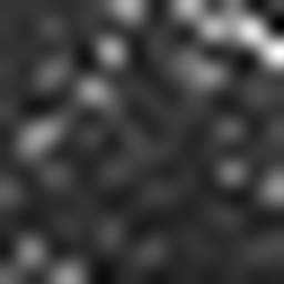 1593514902_1 @ 3.4487 µm