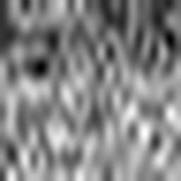 1615404481_1 @ 3.4487 µm