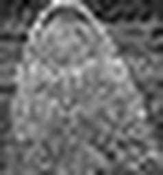 1630664767_1 @ 3.4487 µm