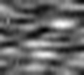 1639068826_1 @ 3.4487 µm