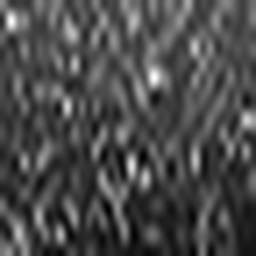 1643259377_1 @ 3.4487 µm