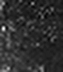 1660432332_1 @ 3.4487 µm