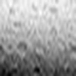 1714687524_1 @ 3.4487 µm