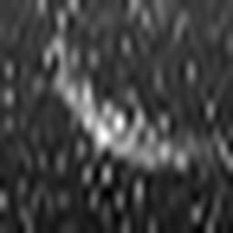 1717563528_1 @ 3.4487 µm