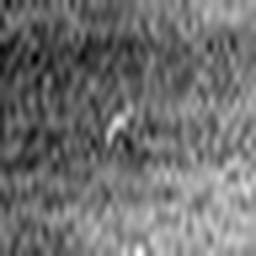 1543611536_1 @ 5 µm