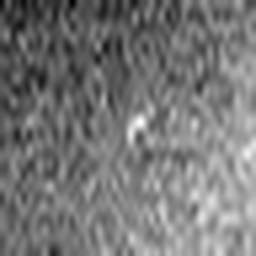 1543612588_1 @ 5 µm