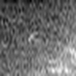 1543615176_1 @ 5 µm