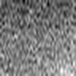 1543616528_1 @ 5 µm