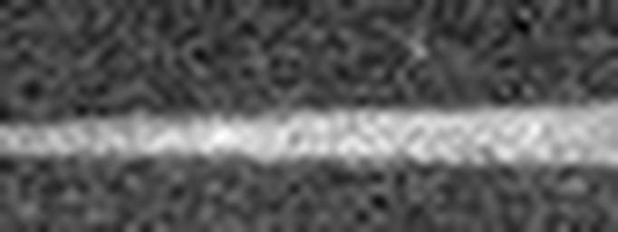 1547758524_1 @ 5 µm