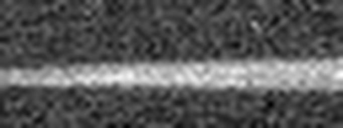 1547758654_1 @ 5 µm