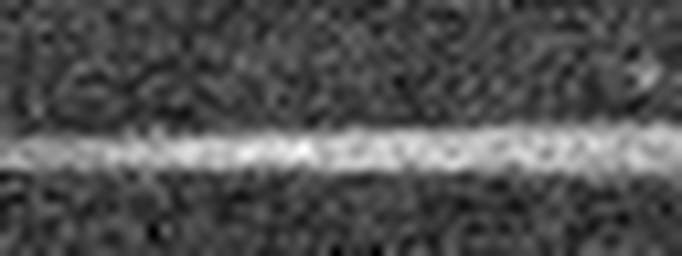 1547759045_3 @ 5 µm