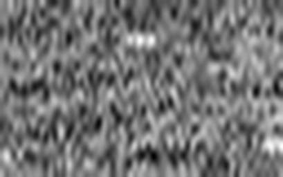 1552804312_1 @ 5 µm