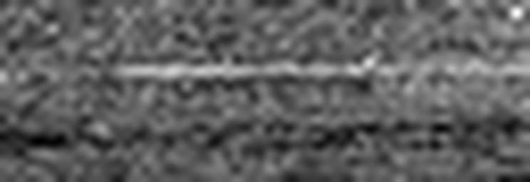 1559226986_1 @ 5 µm