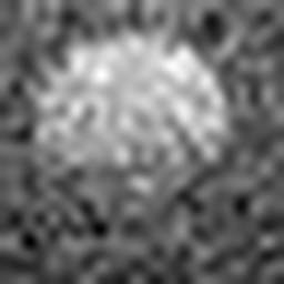 1558977977_1 @ 5 µm