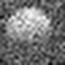 1558978148_1 @ 5 µm