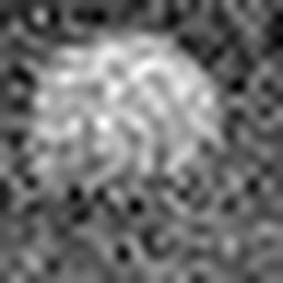 1558978243_1 @ 5 µm