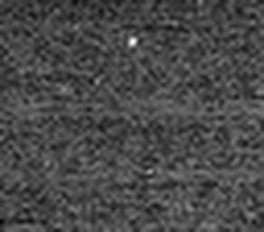 1559292921_1 @ 5 µm