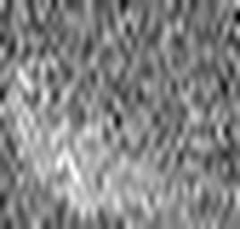 1558902742_1 @ 5 µm