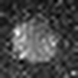 1558913033_1 @ 5 µm