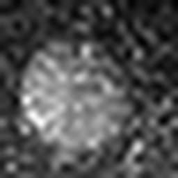 1558913501_1 @ 5 µm