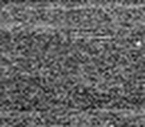 1559290164_1 @ 5 µm