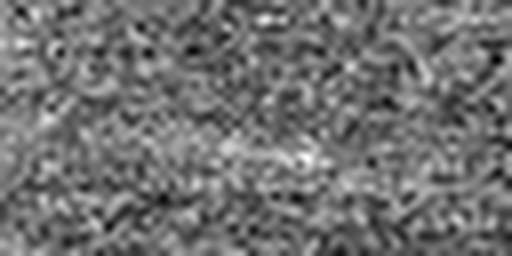 1561425473_1 @ 5 µm