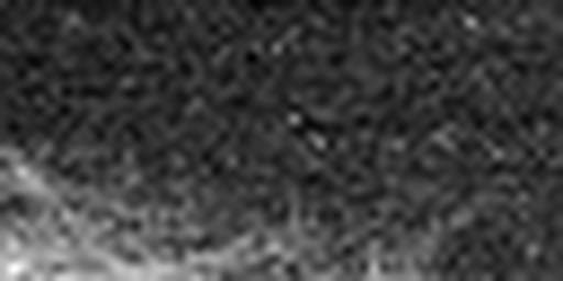 1561666303_1 @ 5 µm