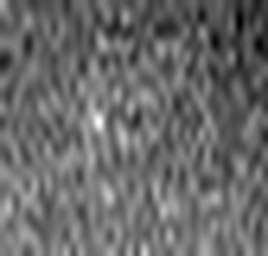 1561669905_1 @ 5 µm