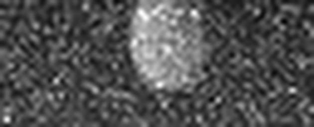 1561676666_1 @ 5 µm