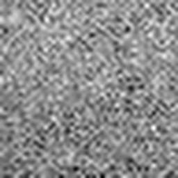 1568091304_1 @ 5 µm