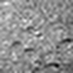 1568128681_1 @ 5 µm