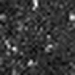 1568129461_1 @ 5 µm