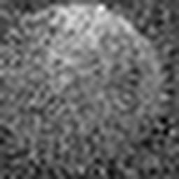 1568161414_1 @ 5 µm