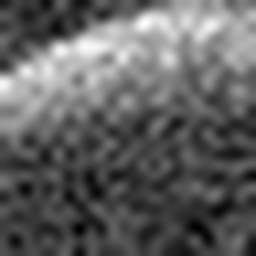 1567121496_1 @ 5 µm