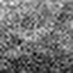 1567129084_1 @ 5 µm