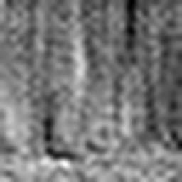 1567129824_1 @ 5 µm