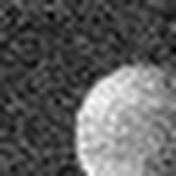 1567093278_1 @ 5 µm