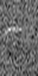 1573904559_1 @ 5 µm