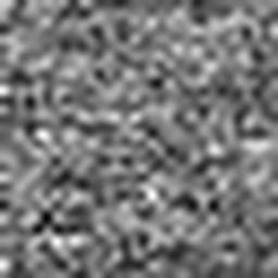 1577490717_1 @ 5 µm