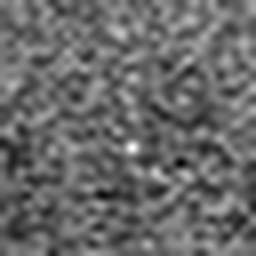 1577491872_1 @ 5 µm