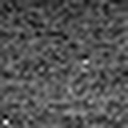 1577492448_1 @ 5 µm