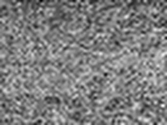 1634153721_1 @ 5 µm