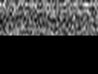 1633830610_9 @ 5 µm