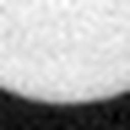 1637524904_1 @ 5 µm