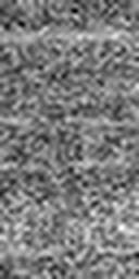 1638187541_1 @ 5 µm