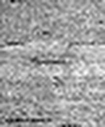 1643001681_1 @ 5 µm