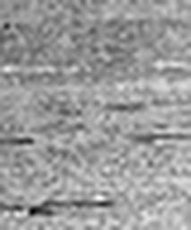 1643003759_1 @ 5 µm