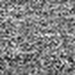 1646254424_1 @ 5 µm